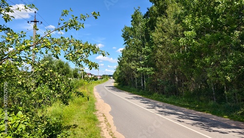 Konstfotografi Apple trees grow along the asphalted road, and juicy apples ripen on them among the foliage