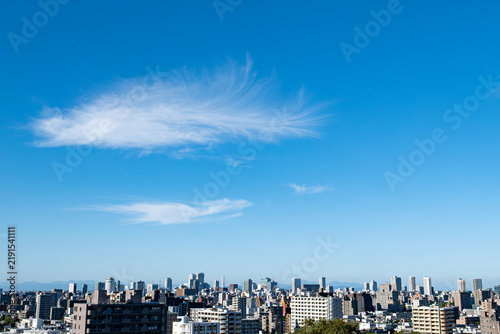 Fototapeta 青空の下に広がる札幌の市街地とビル群の遠景、北海道札幌市