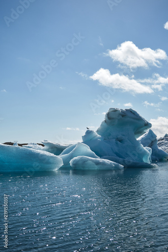 Cuadro en lienzo iceberg in jokulsarlon lagoon with a seagull on top