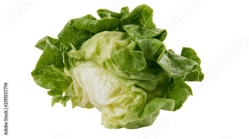 Fotografie Fresh green butterhead lettuce head with ruffled leaves