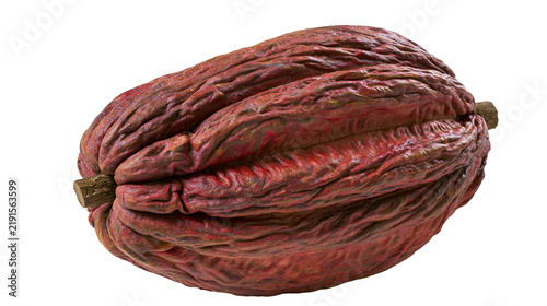 Cuadro en lienzo Ripe dark red cocoa pod with textured skin and woody stem