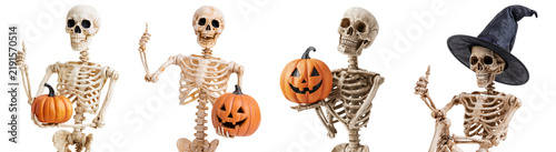 Set of Halloween skeletons with Halloween pumpkins showing a thumbs up isolated on transparent background. Concept of Halloween event party decoration.