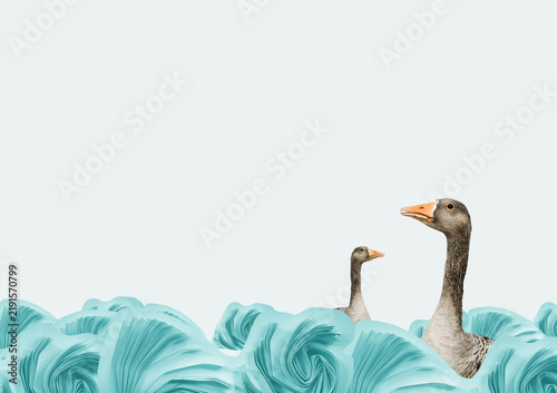 Obraz na płótnie Geese and duck in water, conceptual surrealist wallpaper