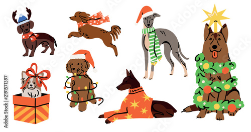 Christmas dogs in costumes. Hand drawn different dog breeds wearing winter hats, scarves and holiday decoration, festive seasonal pet characters, xmas celebration. Vector cartoon isolated illustration
