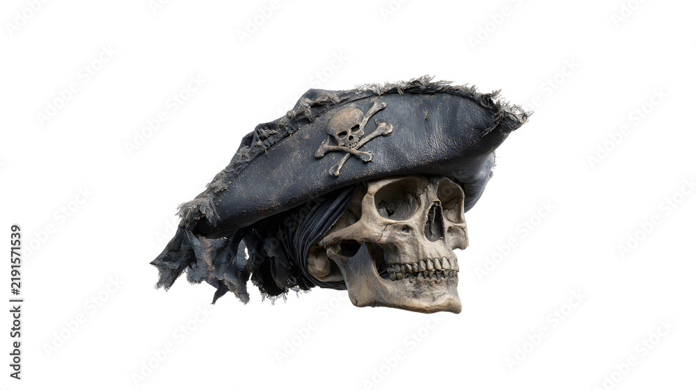 Fototapeta premium Skull wearing pirate hat for sailing adventures