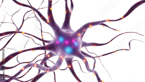 Canvastavla Detailed purple neuron with glowing blue and pink synapses, isolated on transpar
