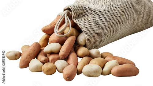 Fotografie Raw unwashed potatoes spilling out of a rustic woven burlap sack