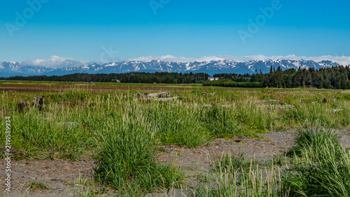 Foto Alaska mountains, glacier, forest, view of Homer spit