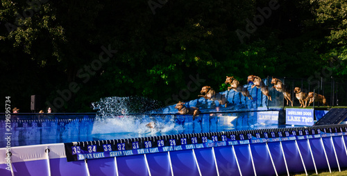 Composite of a dog dock diving in a competition