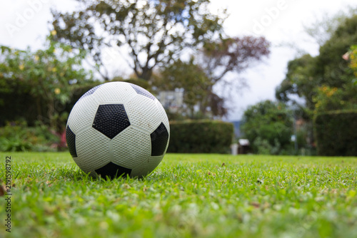 Soccer ball is sitting on trimmed green lawn at ground level, hedges and house blurred