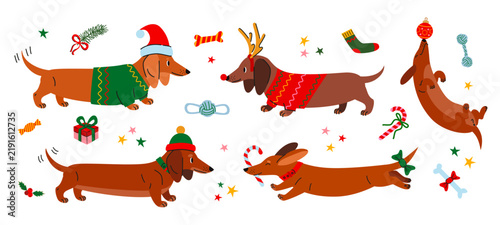 Festive Dachshunds in Christmas Attire with Holiday Accessories Set. Cute Illustration of Sausage Dogs in Various Poses.