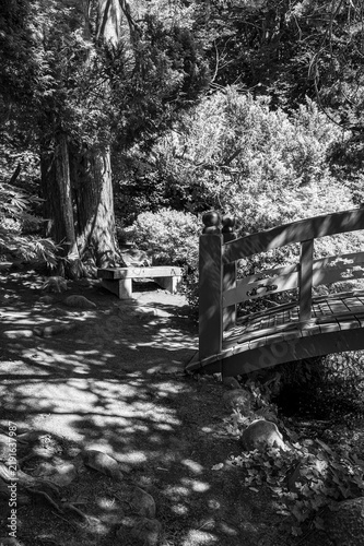 Tranquil Park Landscape with Wooden Bridge and Stone Bench in Black and White