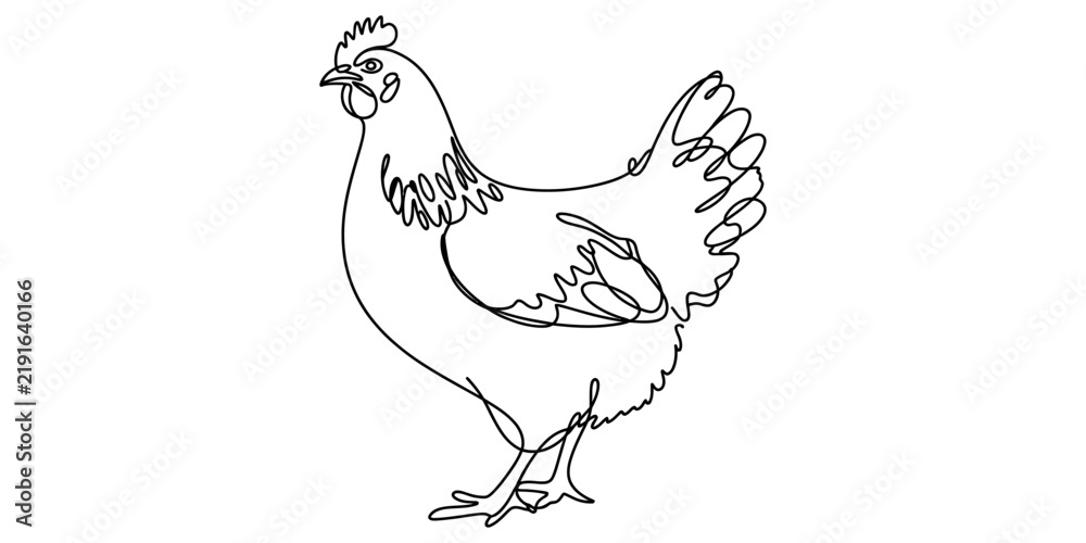 Fototapeta premium A single line drawing of a chicken standing on white background for farm, agriculture, and country themes.