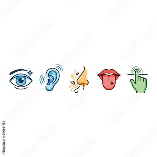Five senses human icon set vector for sight hearing smell taste touch