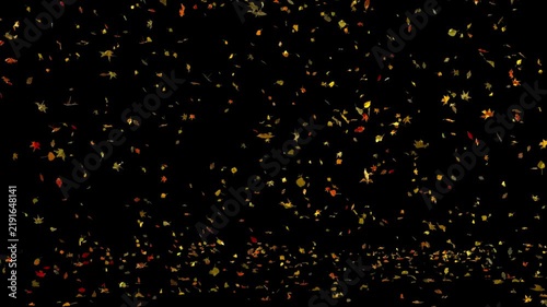 Autumn Leaf Fall, Seamless loop with alpha channel.