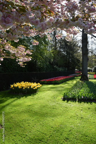 Obraz na płótnie In the garden in spring, Keukenhof, Lisse, Netherlands