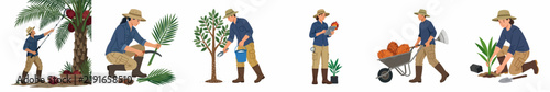 Konstfotografi Flat vector illustration of a female farmer engaged in various agricultural activities like harvesting dates, pruning trees, pushing a wheelbarrow, and planting seedlings