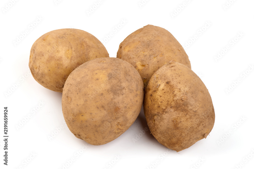 Fototapeta premium Fresh Russet Potatoes on a White Background