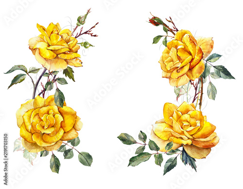Pattern from yellow rose. Wedding drawings. Watercolor painting. Greeting cards. Flower backdrop.