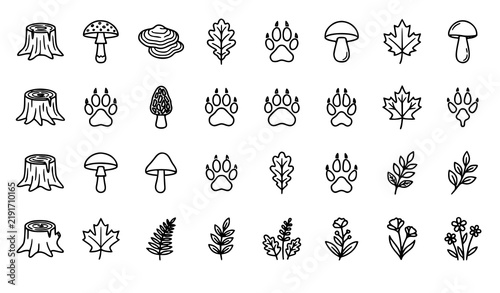 Woodland Tree Stump Mushroom Leaf and Paw Print Vector Set