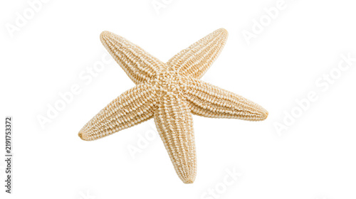 Foto Five-pointed beige starfish with textured granular surface