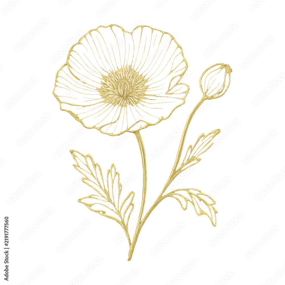 Obraz premium PNG Elegant golden floral line art.