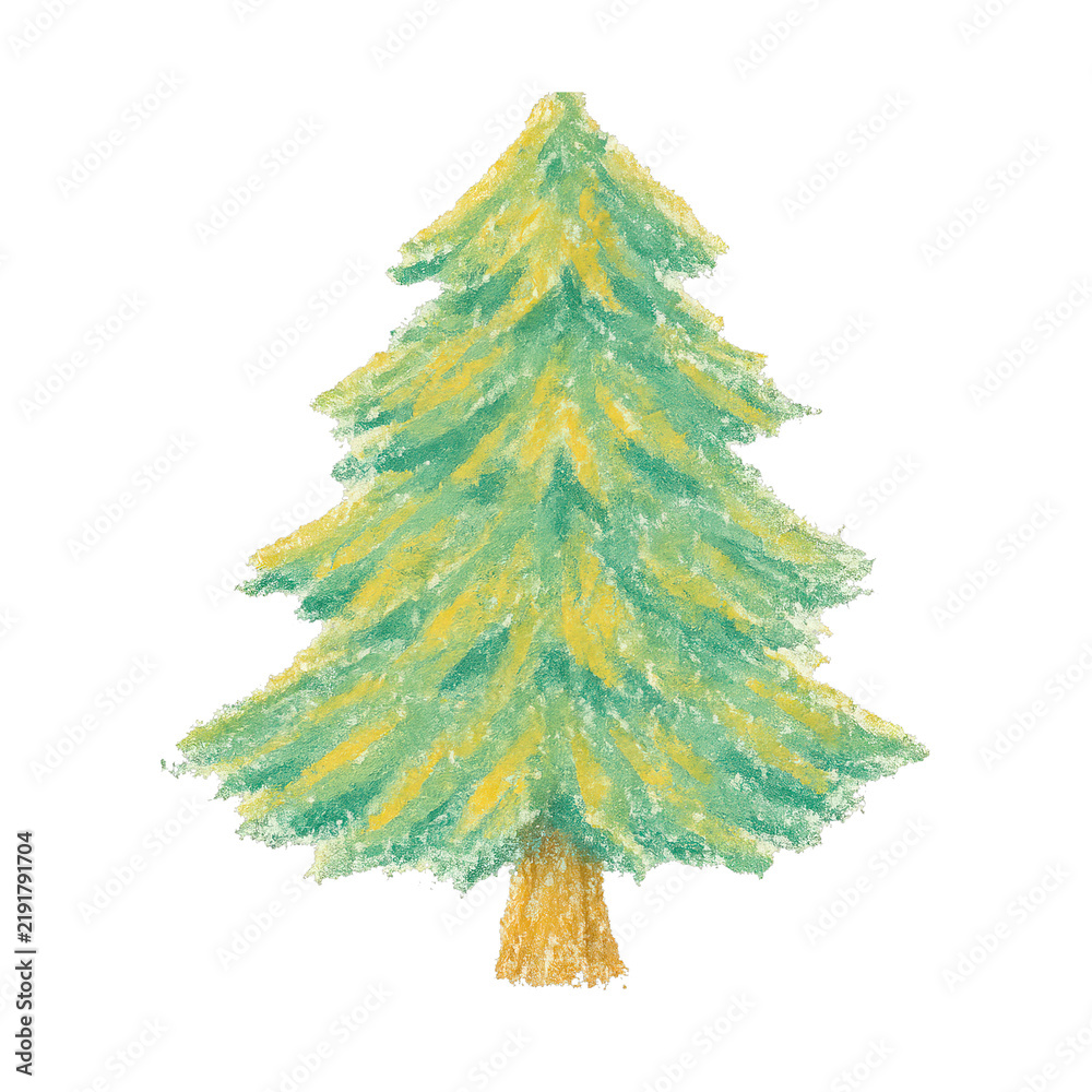 Obraz premium PNG Hand-drawn evergreen tree illustration.