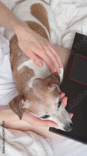 Woman Gently Petting Her Dog While Relaxing in Bed with an Open Laptop, Cozy Home Scene with a Loving Pet Owner Touching Her Dog While Working Online, Using a Computer and Spending a Peaceful Morning 