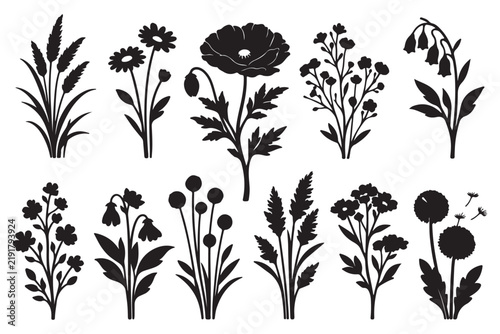 Botanical Silhouette Wildflower Collection.