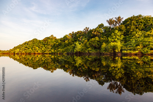 Obraz na plátně Pristine Amazon rainforest perfectly reflected in calm mirror-like river water s