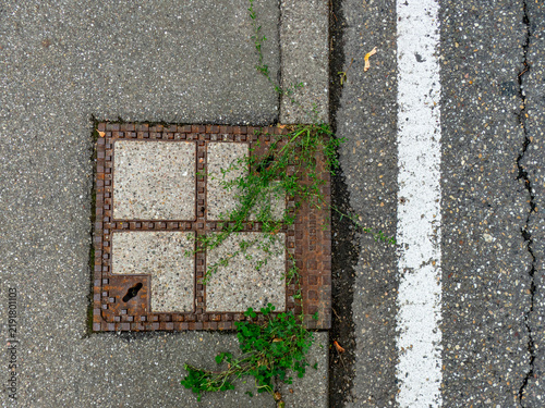 Fotografie Laub verstopfter Abwasserschacht