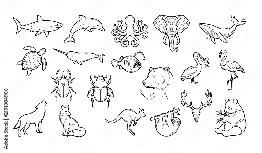 Fototapeta premium Wildlife and aquatic animal contour illustrations for modern nature themed graphics