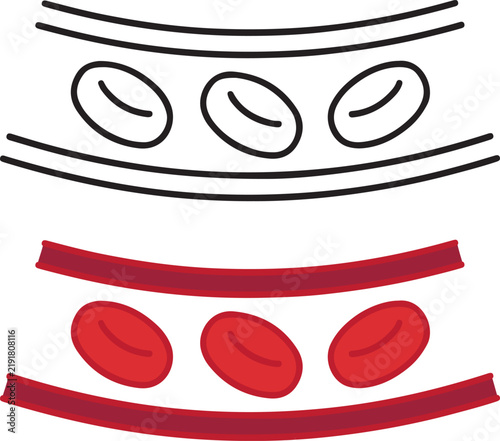 red blood cells flowing inside a blood vessel, simplified medical illustration on white background