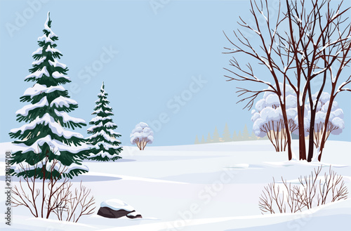 Peaceful Winter Landscape with Snow Covered Pine Trees and Bare Trees in a Serene Countryside Setting