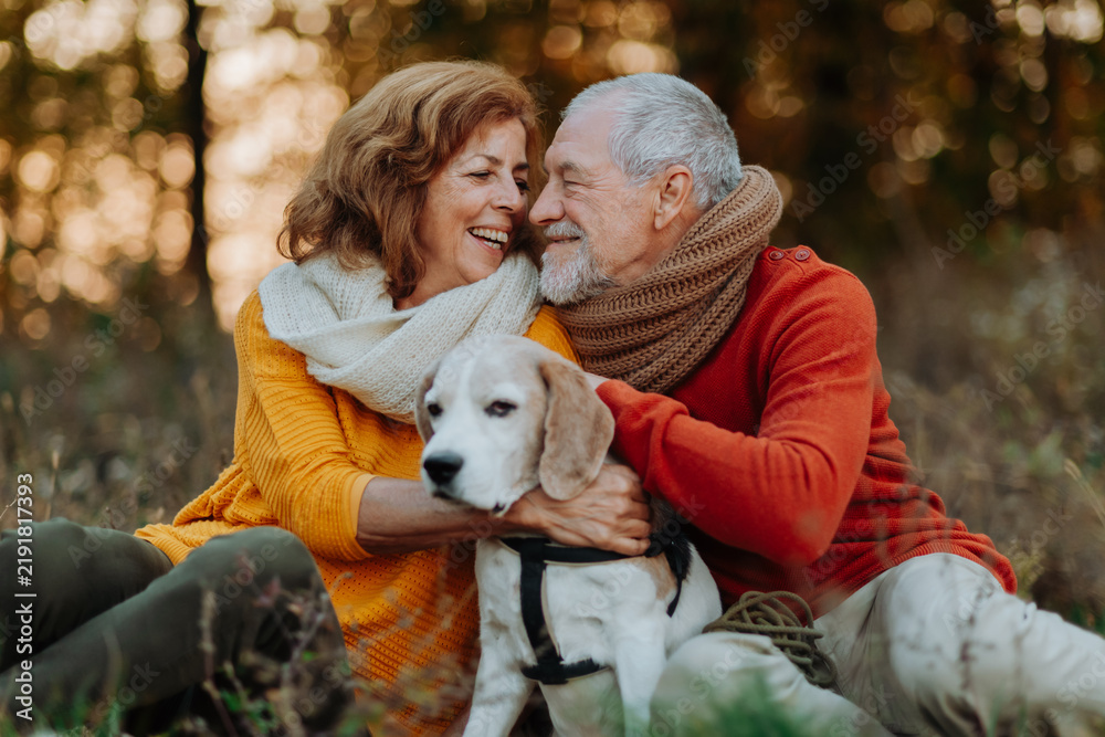 Obraz premium Senior couple walking dog in autumn forest.
