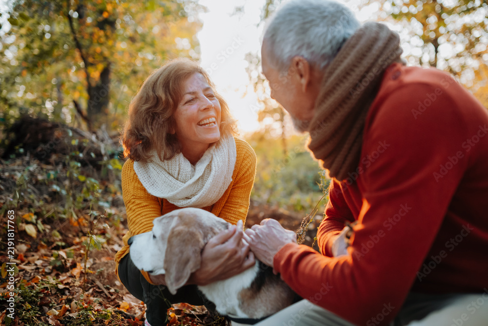 Obraz premium Elderly man and woman walking their dog in nature on autumn day.