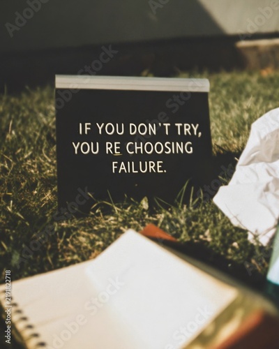 Inspiring quote displayed on a sign in a natural setting highlighting the importance of taking risks and striving for personal growth and determination to overcome challenges