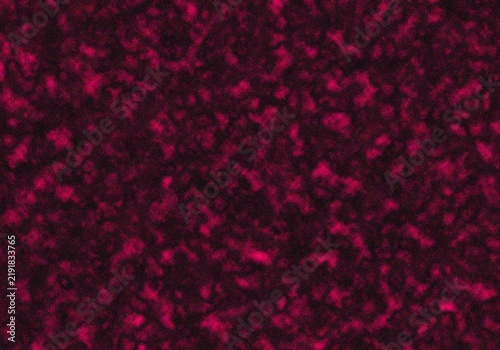 Quadro su tela Microscopic view of red blood cells under darkfield illumination in medical labo