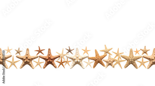 Quadro su tela Assorted starfish bottom border on transparent background