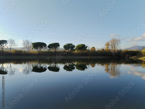 Obraz na plátně mirror-like reflection of pine trees in a small lake