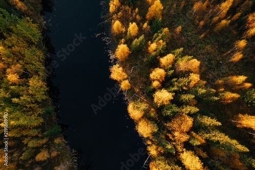 Aerial view of vibrant autumn foliage surrounding a dark river in the far north, showcasing a mix of yellow and green trees along the water's edge