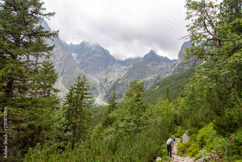 Idyllisches Alpental mit Bergbach und grünen Berghängen