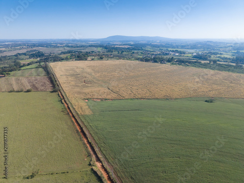 Aerial view of agricultural fields with a dirt road dividing green crops and dry golden pastures under a clear blue sky in Brazil.