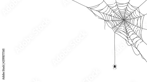 Spider hanging from web illustration vector black and white corner composition