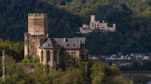 Aerial view of the historic Burg Lahneck castle surrounded by lush forest and overlooking the town of Lahnstein, Rheinland-Pfalz, Germany.