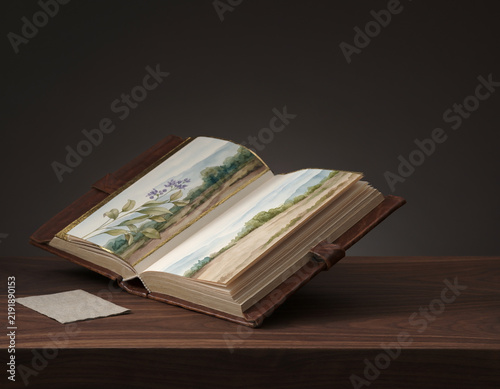 Fore Edge Painted Book Revealing Hidden Botanical Artwork