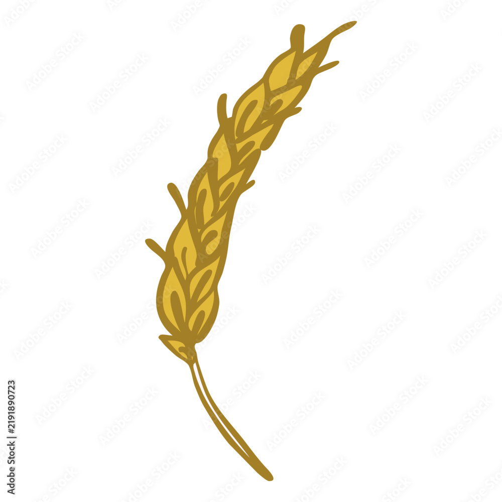 Obraz premium Wheat spike doodle