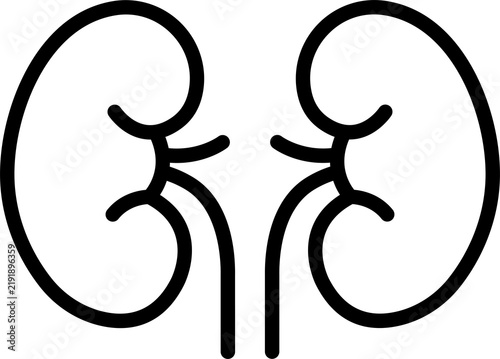 Simple black outline illustration of human kidneys isolated on transparent background