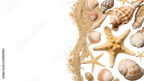 Quadro su tela Assorted seashells and starfish scattered on sand, isolated on transparent backg