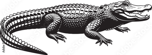 Detailed Illustration Of A Crocodile With Textured Scales